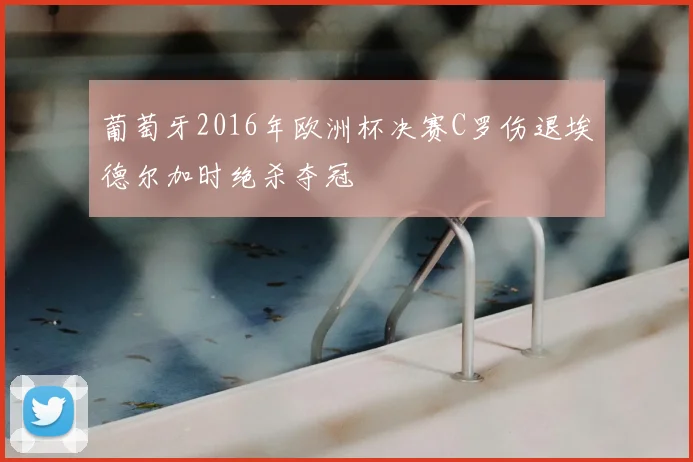 葡萄牙2016年欧洲杯决赛C罗伤退埃德尔加时绝杀夺冠