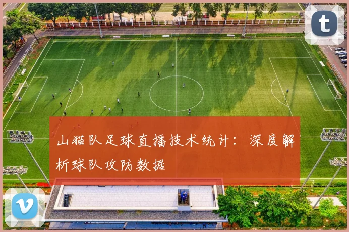 山猫队足球直播技术统计：深度解析球队攻防数据