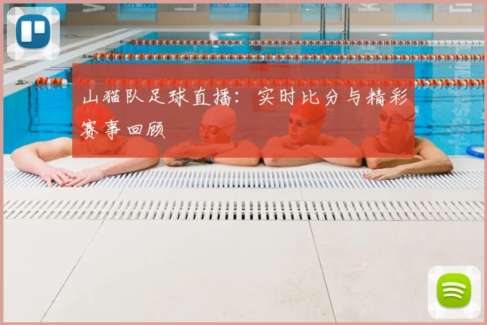 山猫队足球直播：实时比分与精彩赛事回顾