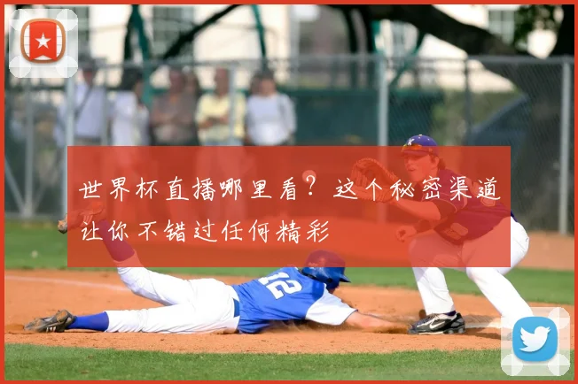 世界杯直播哪里看？这个秘密渠道让你不错过任何精彩