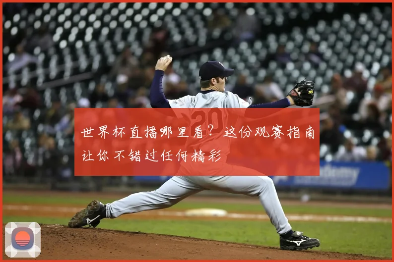 世界杯直播哪里看？这份观赛指南让你不错过任何精彩