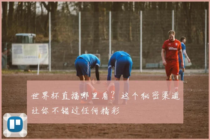 世界杯直播哪里看?这个秘密渠道让你不错过任何精彩