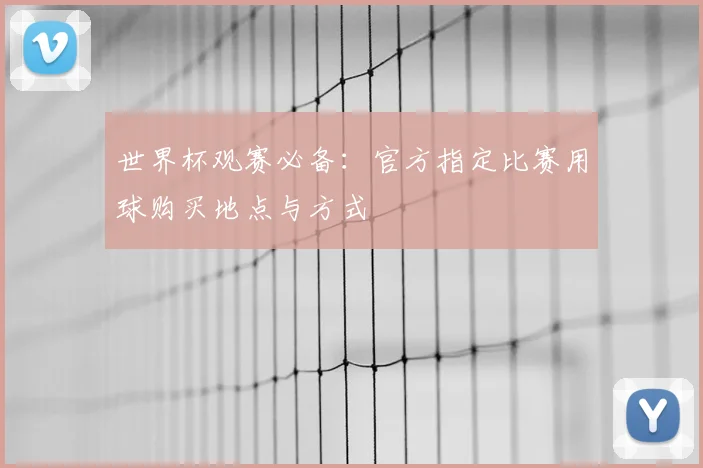世界杯观赛必备：官方指定比赛用球购买地点与方式
